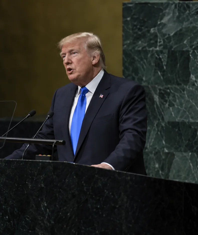 Illustration of a speaker at the rostrum of the United Nations General Assembly.
